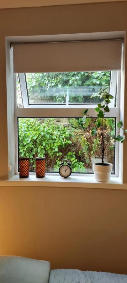 Blima Central Rooms 더블린 외부 사진